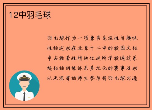 12中羽毛球