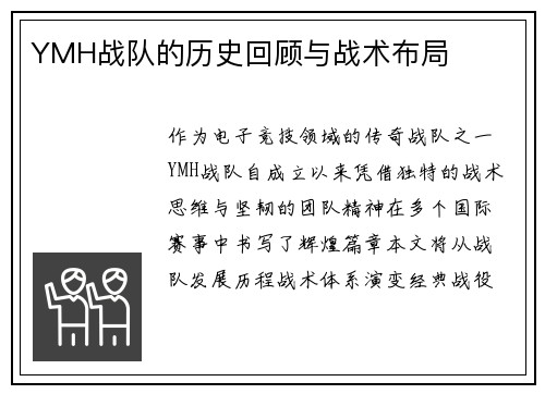 YMH战队的历史回顾与战术布局