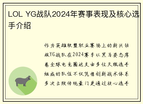 LOL YG战队2024年赛事表现及核心选手介绍